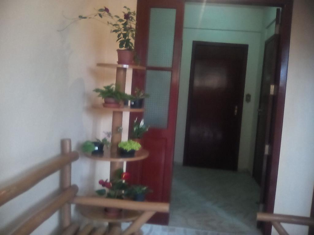 Hôtel Residencial Dona Vilma à Florianópolis Extérieur photo